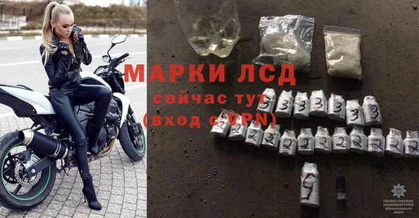 гидра Михайловка