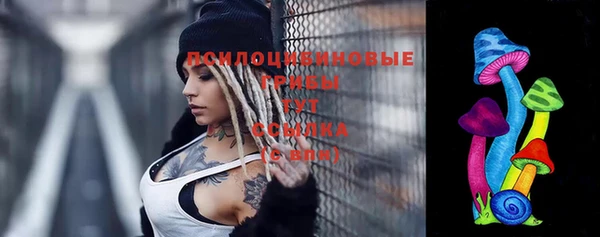 ГАЛЛЮЦИНОГЕННЫЕ ГРИБЫ Сафоново