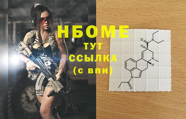 гидра Михайловка