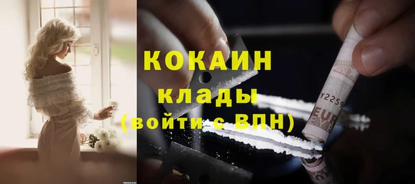гидра Михайловка