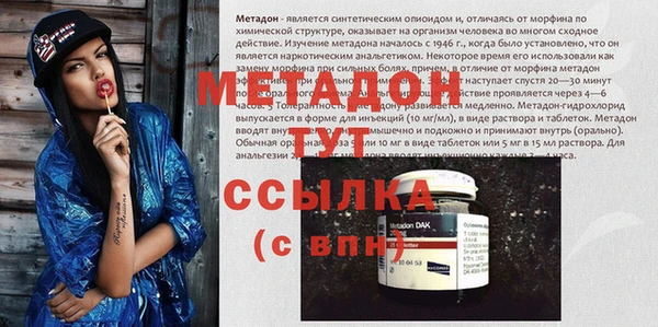 гидра Михайловка