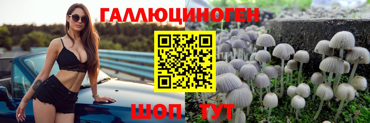 Псилоцибиновые грибы мухоморы Балабаново